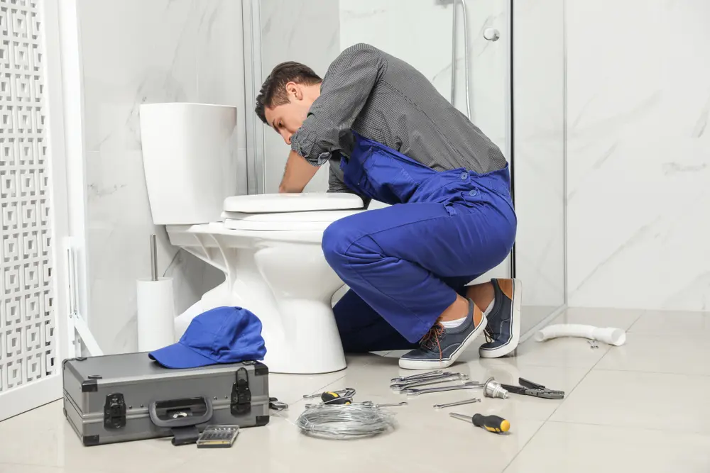 Toilet Installation in Los Alvarez